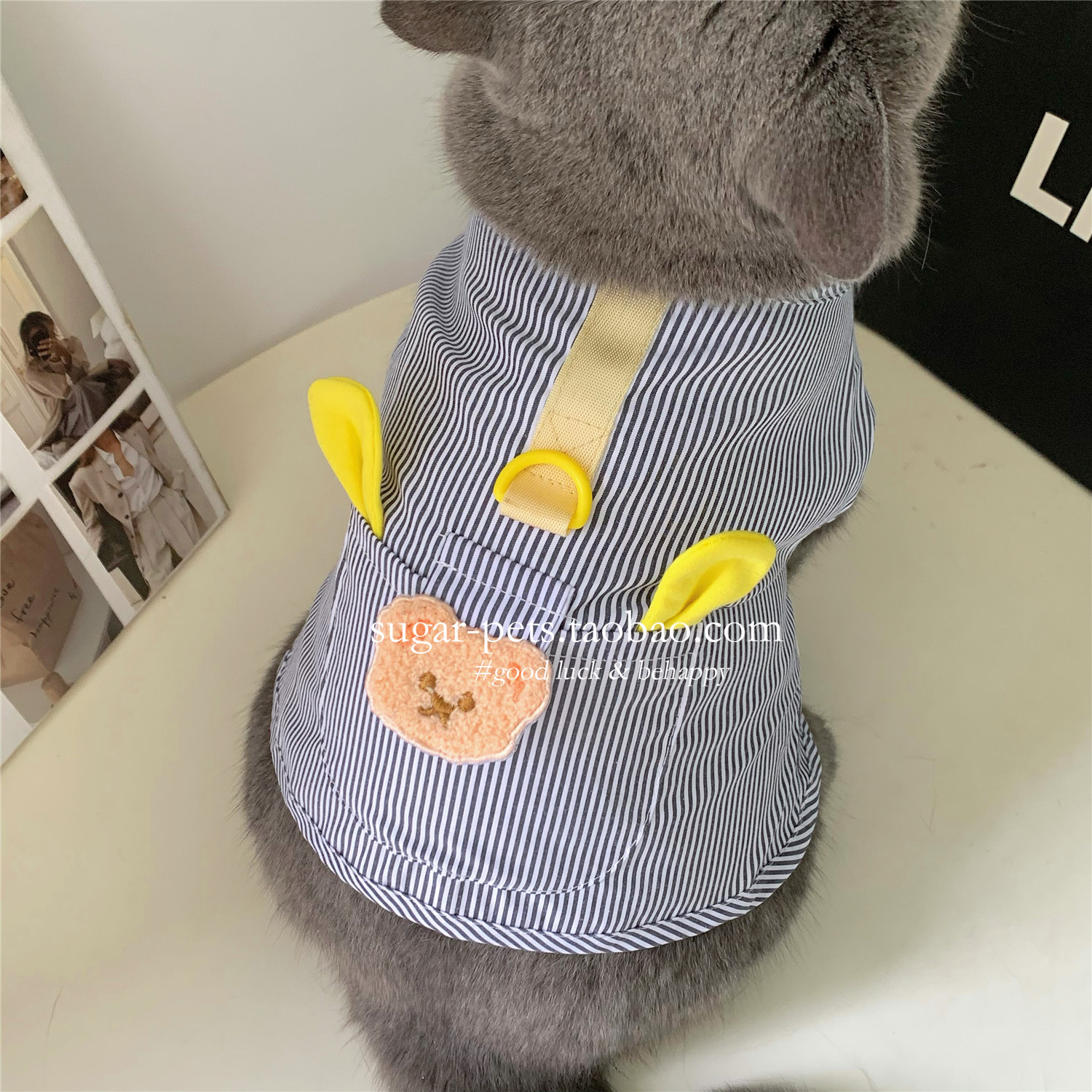 小熊马甲狗狗猫咪衣服薄款夏季英短蓝猫布偶猫矮脚防掉毛牵引背心
