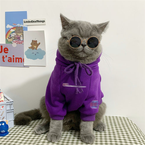 [2-7斤内]冬天小狗狗小猫咪衣服银渐层英美短小奶猫冬季加绒卫衣