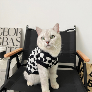 秋冬装狗狗猫咪衣服英美短金银渐层布偶冬天曼基康矮脚猫无袖毛衣