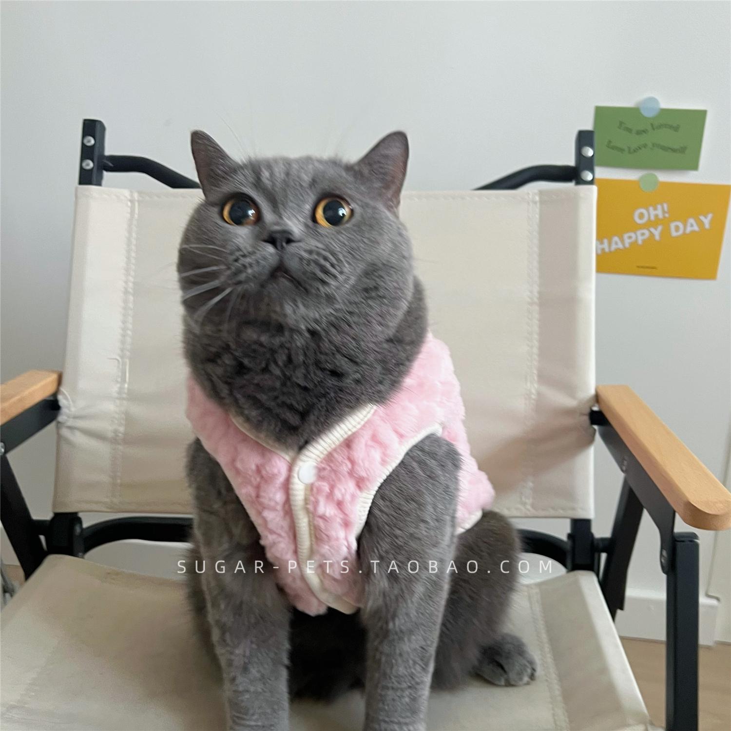 秋冬季保暖英美短银渐层防掉毛小奶猫背心马甲宠物狗狗猫咪衣服