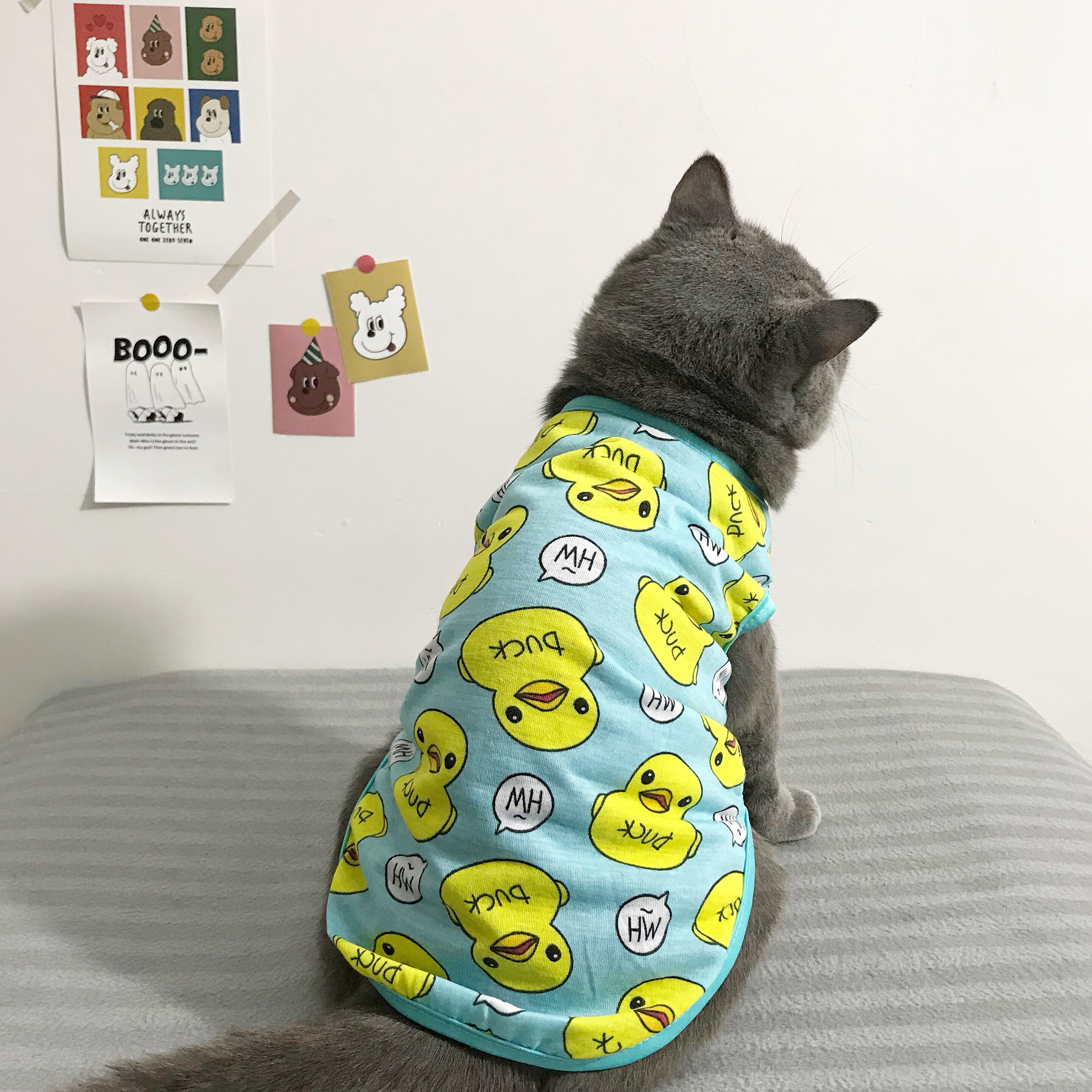 Sugar夏天英短蓝白加菲猫空调房夏季薄款防掉毛宠物狗狗猫咪衣服