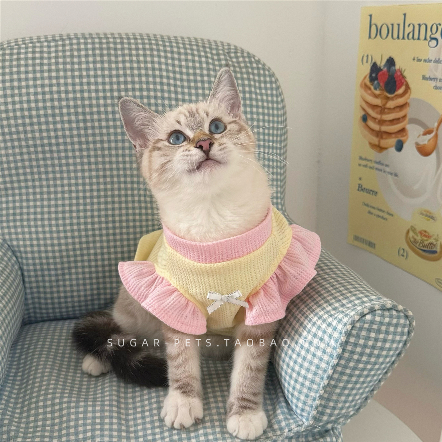 2025春夏薄款宠物背心 小猫幼猫猫咪狗狗通用 小奶猫夏季透气衣服