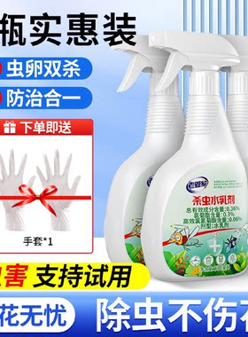 月季花病虫害常用药家用室内通用