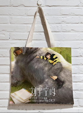 刘宇宁演唱会应援周边帆布袋手提袋子装书袋子结实单肩包来图定制
