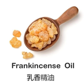 进口印度乳香精油10ML单方精油提拉紧致肌肤香薰舒缓情绪厂家直销