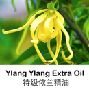 特级依兰精油10ml纯单方精油-附检测报告-花香味舒缓情绪香薰护肤