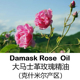 2ML克什米尔产区大马士革玫瑰精油纯单方精油芳疗 附COA检测报告