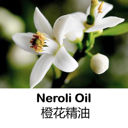 进口苦橙花精油10ML完全挥发纯单方精油提亮肤色护肤按摩香薰