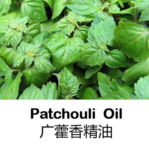 永久保存进口印尼广藿香单方精油