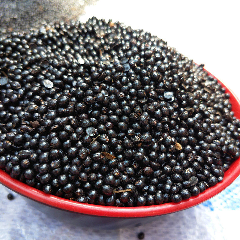 山西农家新鲜花椒籽种子泡脚鸽子新鲜花椒