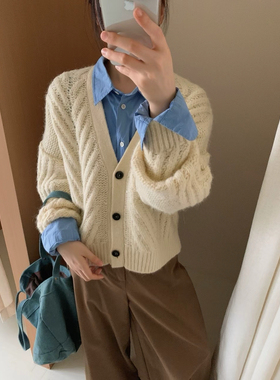 韩系温柔风针织开衫外套女2025新款初秋设计感小众宽松显瘦上衣