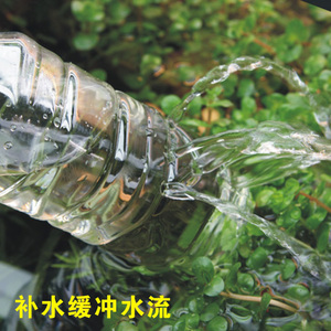 1001水族 草丛工场补水缓冲器 自制洗砂器 多用途DIY瓶盖新品特价