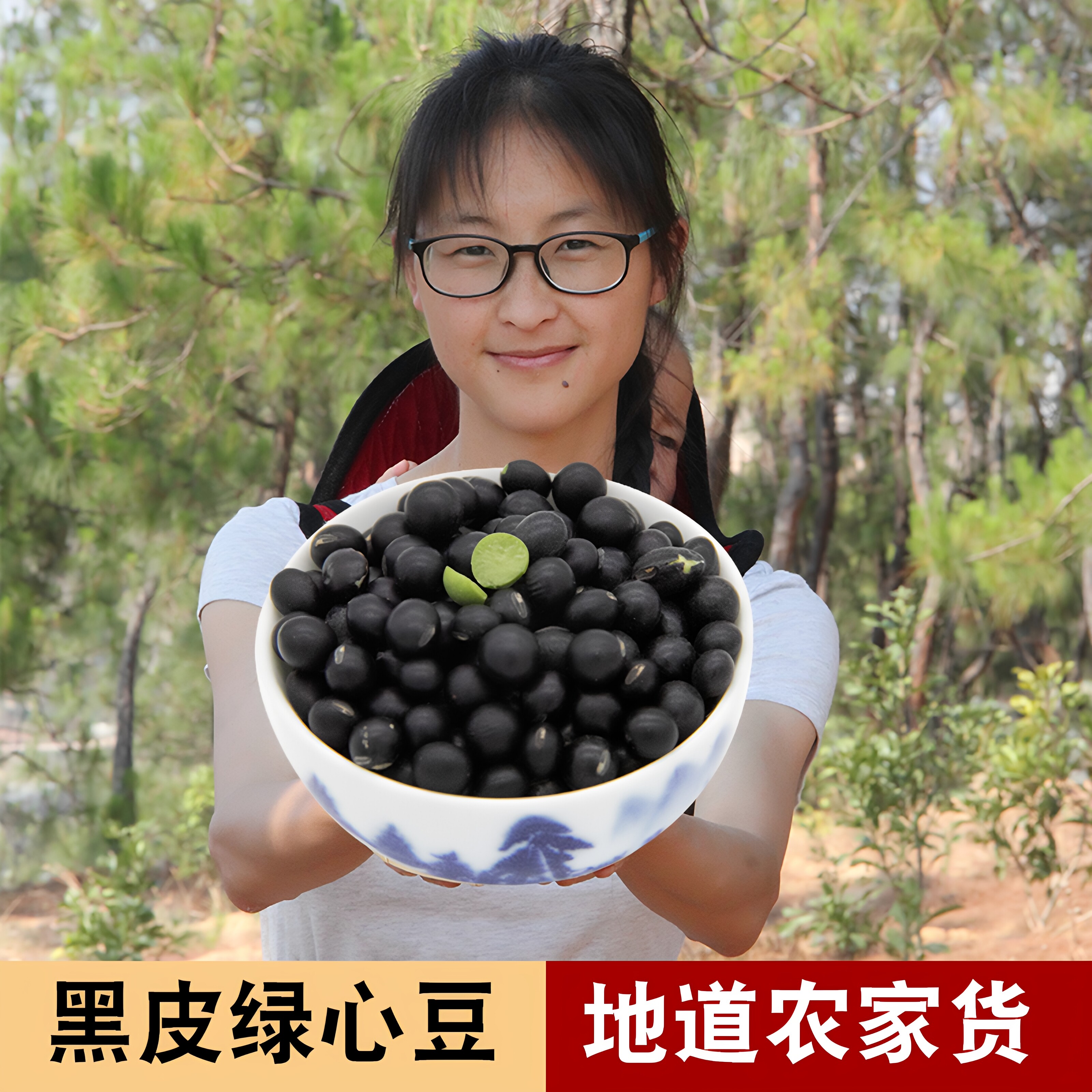 云南小黑豆黑皮绿心打豆浆熬粥