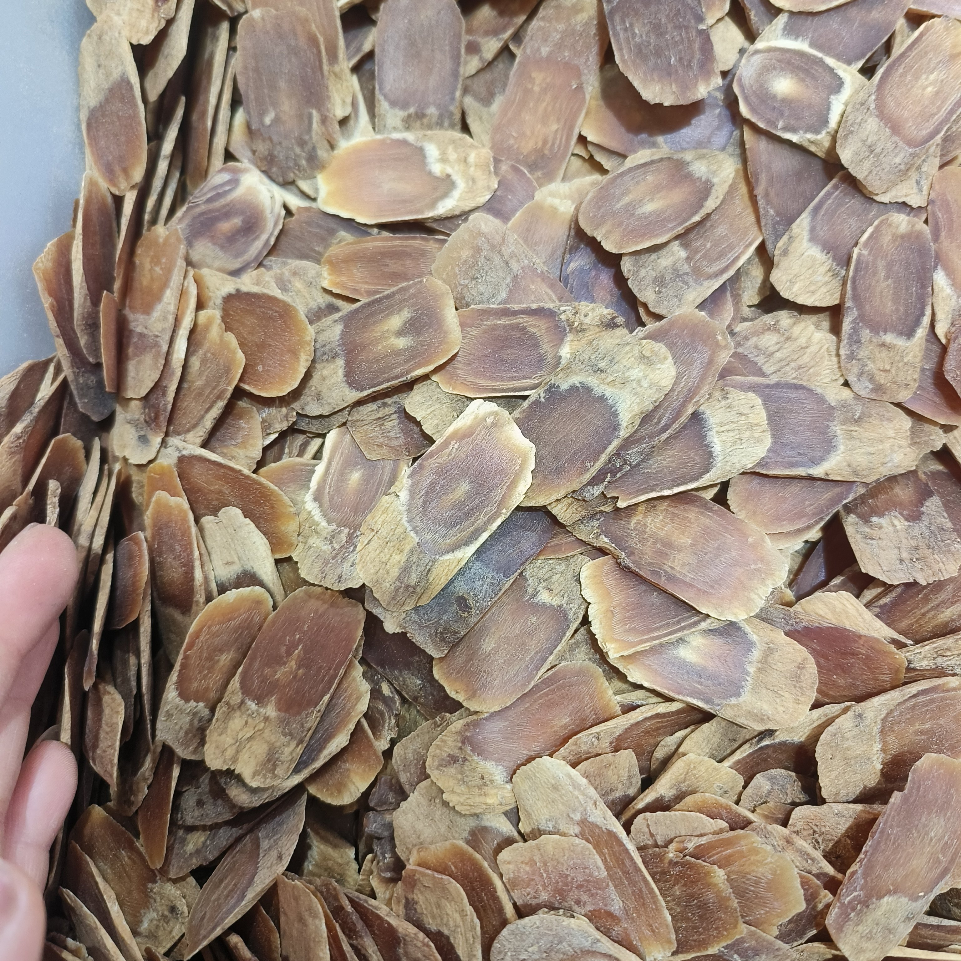 高丽参大片别直参黄马褂精品片足干老货包邮