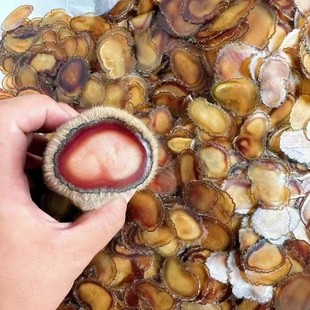 鹿茸全蜡片长白山正宗鹿茸片全腊干片特级整枝头茬含血泡酒料 包邮