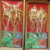 长白山林下参籽货高年头林下参干煲汤泡酒礼盒源头产地 包邮