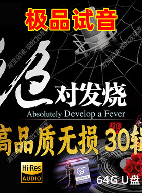 试音极品30辑HiFi无损家用车载发烧男女声母带数播数字转盘音源