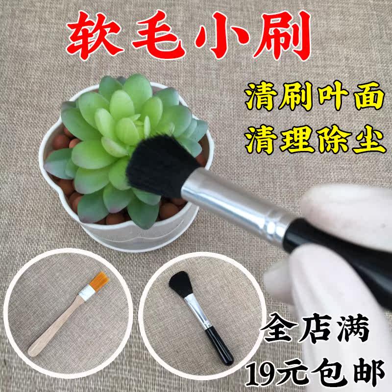 多肉软毛小刷子清洁刷叶面清理除尘刷植物园艺用品工具微景观花卉在类目 鲜花速递/花卉仿真/绿植园艺, 园艺用品, 其它园艺用品中 - 来自Buy2taobao.com提供专业的淘宝代购服务
