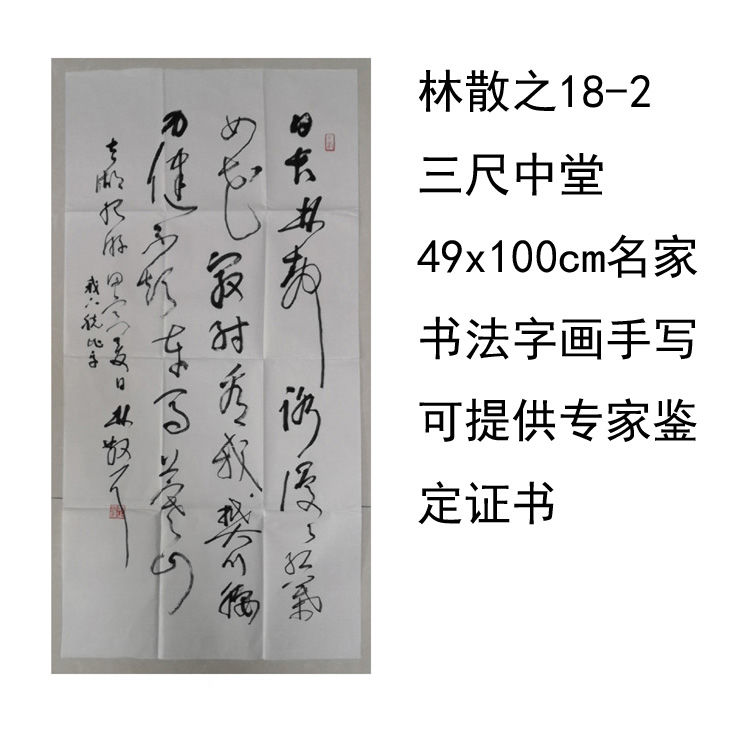 临摹手写林散之书法三尺中堂49x100cm名家题字字画收藏可提供鉴定 家居饰品 书法 原图主图