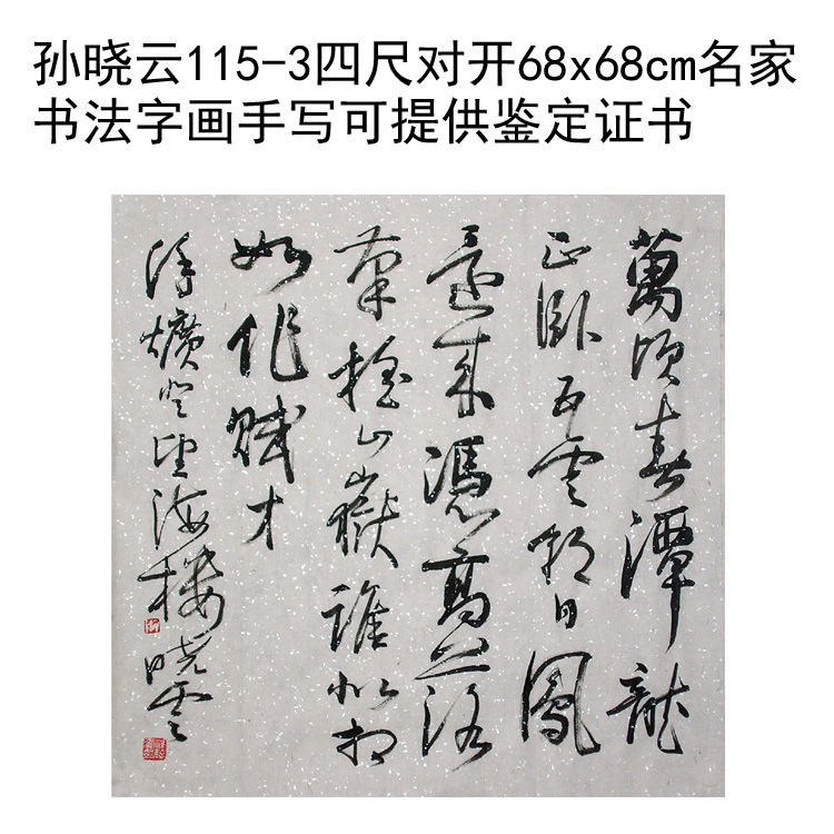 临摹手写孙晓云书法题字3四尺斗方68x68cm名家名人字画收藏可鉴定