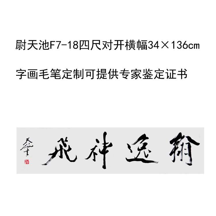 临摹手写尉天池书法题字34×136cm名人名家字画收藏毛笔定制可选 家居饰品 书法 原图主图