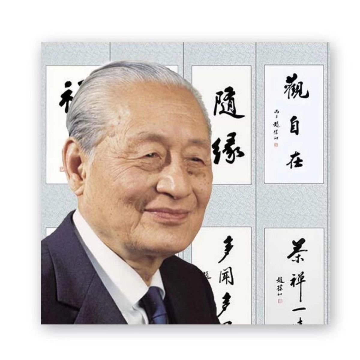 赵朴初大师书法题字手写收藏古玩