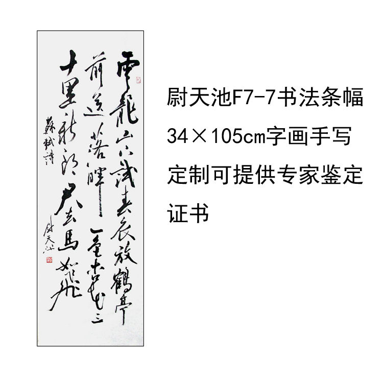 临摹手写尉天池书法题字34×110cm名人名家字画收藏毛笔定制可选 家居饰品 书法 原图主图