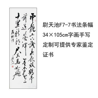 临摹手写尉天池书法题字34×110cm名人名家字画收藏毛笔定制可选