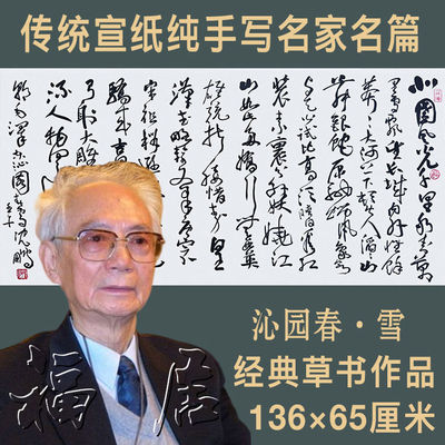 临摹沈鹏名人书法四尺手写草书沁园春雪名家字画客厅办公室