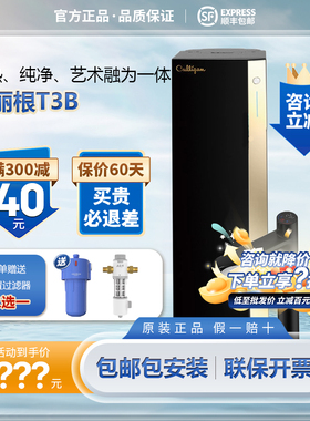 康丽根RO反渗透小黑龙瞬间加热