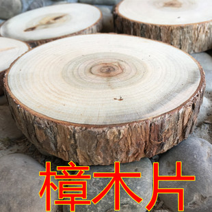 香樟片圆带皮原木樟树块树衣柜防虫樟木底座杯垫DIY背景墙