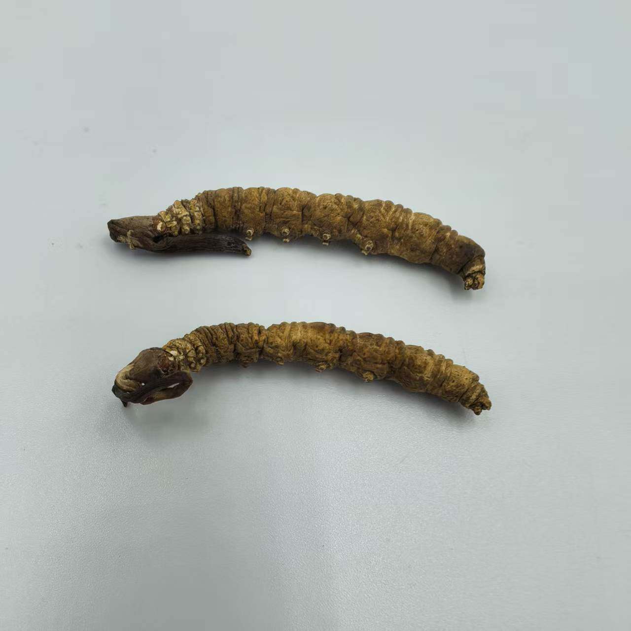 冬虫夏草 正品虫草 冬虫草 西藏那曲 2条1g包邮 中药材