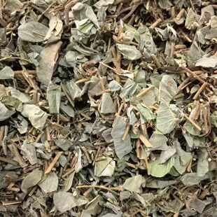 金钱草 大叶金钱草 3斤包邮 地蜈蚣 中药材 广金钱草 500g克10元