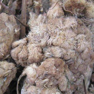 白鸡冠花干 2斤包邮 白色鸡冠花 永生花 中草药材供应 500g克19元