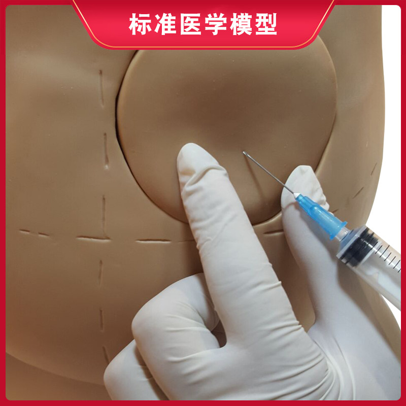 엉덩이 주입 모델 엉덩이 주입 모듈 병원 학교 교육 데모 모델 클리닉 개인 연습 모델