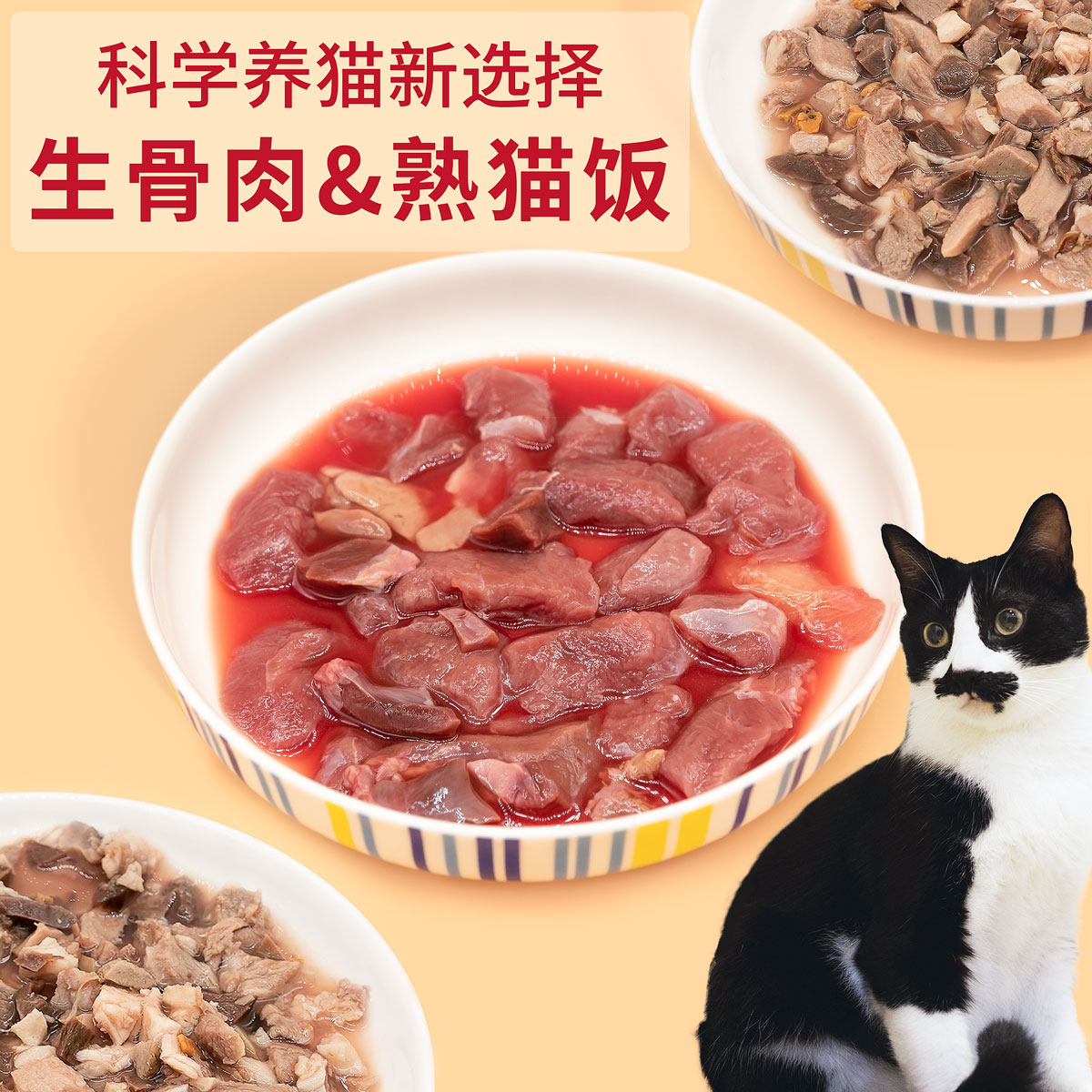 生骨肉猫饭全阶段猫纯鲜肉营养