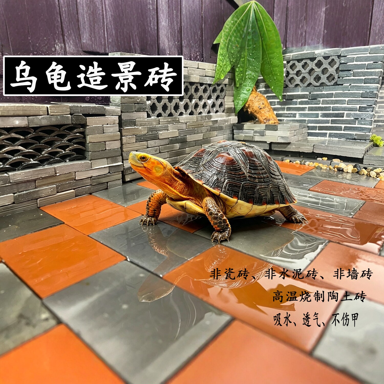 手工陶土乌龟缸造景吸水透气不伤图片