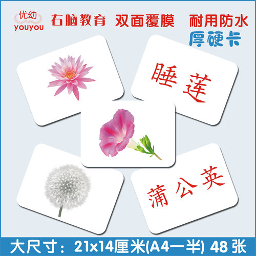 杜曼早教益智百科植物花卉闪卡