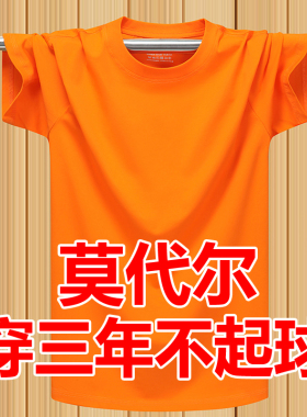 夏季莫代尔弹力薄款短袖T恤汗衫纯色纯棉圆领打底衫半袖体恤 橙色