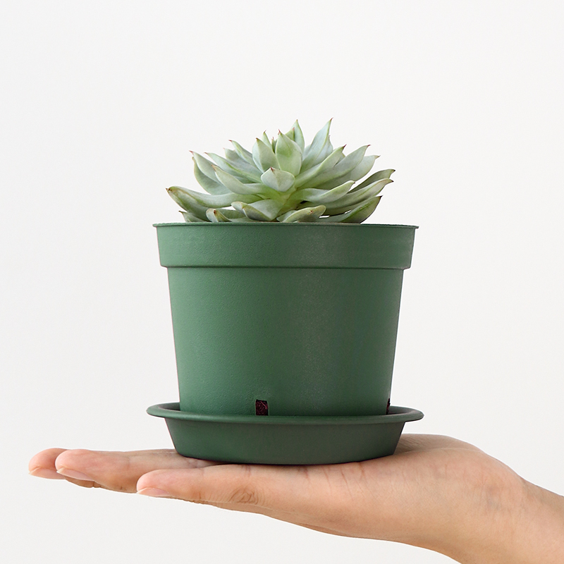 绿萝多肉花盆小号迷你可爱精致塑料带托盘加厚养花加仑青山控根盆