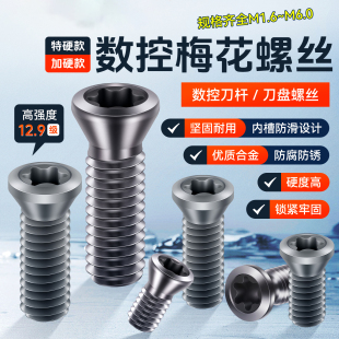 12.9级内六角梅花平头螺丝CNC铣刀杆刀盘刀把螺丝M4M3M2螺钉