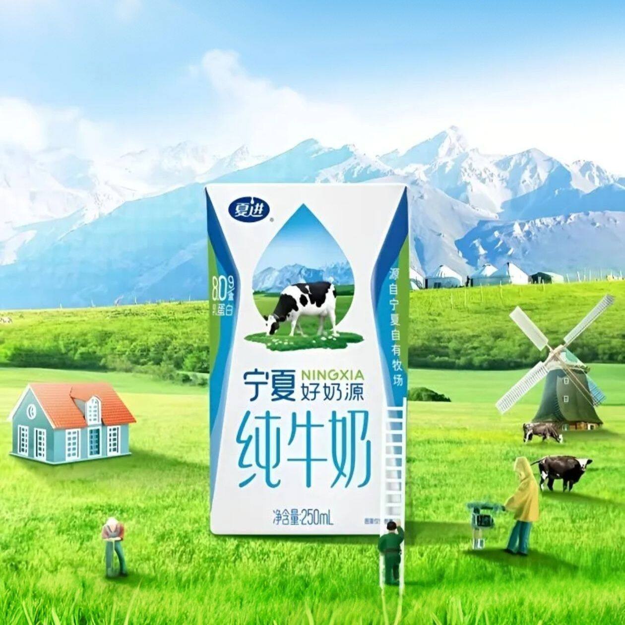 夏进纯牛奶早餐奶牛奶营养儿童学生奶250ml每盒宁夏灭菌生牛乳,咖啡/麦片/冲饮,纯牛奶,淘宝优惠券,粉丝福利购,淘宝优惠卷