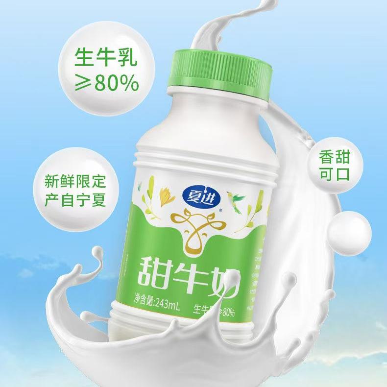夏进甜牛奶15瓶x243ml营养早餐奶营养下午茶学生成长宁夏牛奶