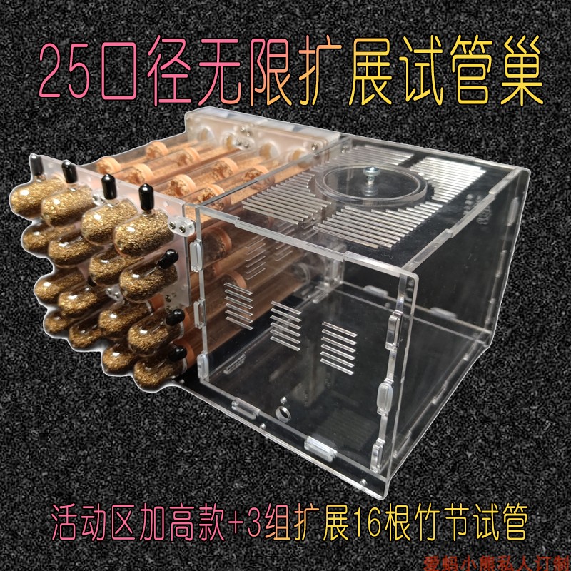 25口径无限扩展试管巢蚂蚁巢