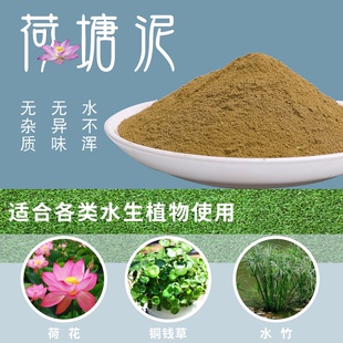 天然荷塘泥 碗莲睡莲专用土 水生植物营养土 河塘泥河泥淤泥