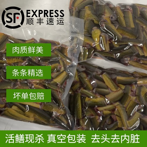 信阳现杀黄鳝段真空顺丰包邮