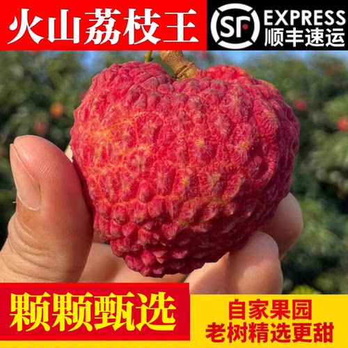 海南火山口荔枝王新鲜大荔枝水果整箱礼盒装鲜荔枝顺丰空运包邮