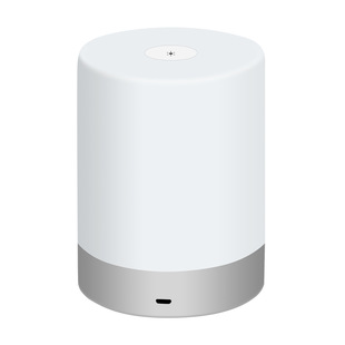 2000mAH亚马逊新款 床头智能家居氛围灯直销台灯 产品