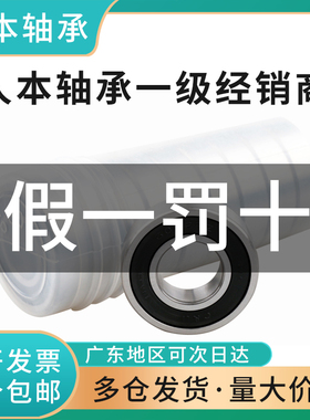 人本高速电机轴承6000 6001 6002 6003 6004 6005 6006 6007 2RZ