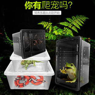 爬宠角蛙鬃狮守宫蜥蜴蜗牛蜘蛛蝎子透气爬宠箱饲养盒子乌龟冬眠箱